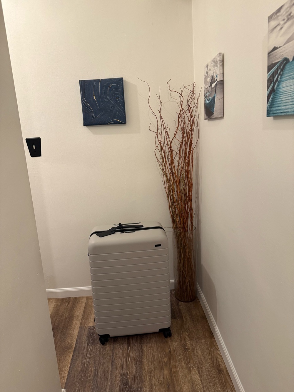 Away Luggage - The Medium